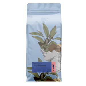 Ethiopia Guji anaerobic