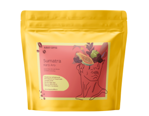 Суматра Каро Аро