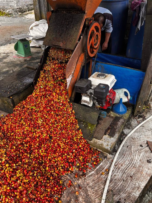 6138442155539154666.jpg 6138442155539154666.jpg