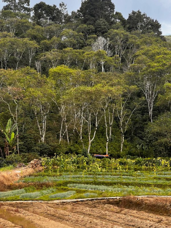 6138442155539154663.jpg 6138442155539154663.jpg