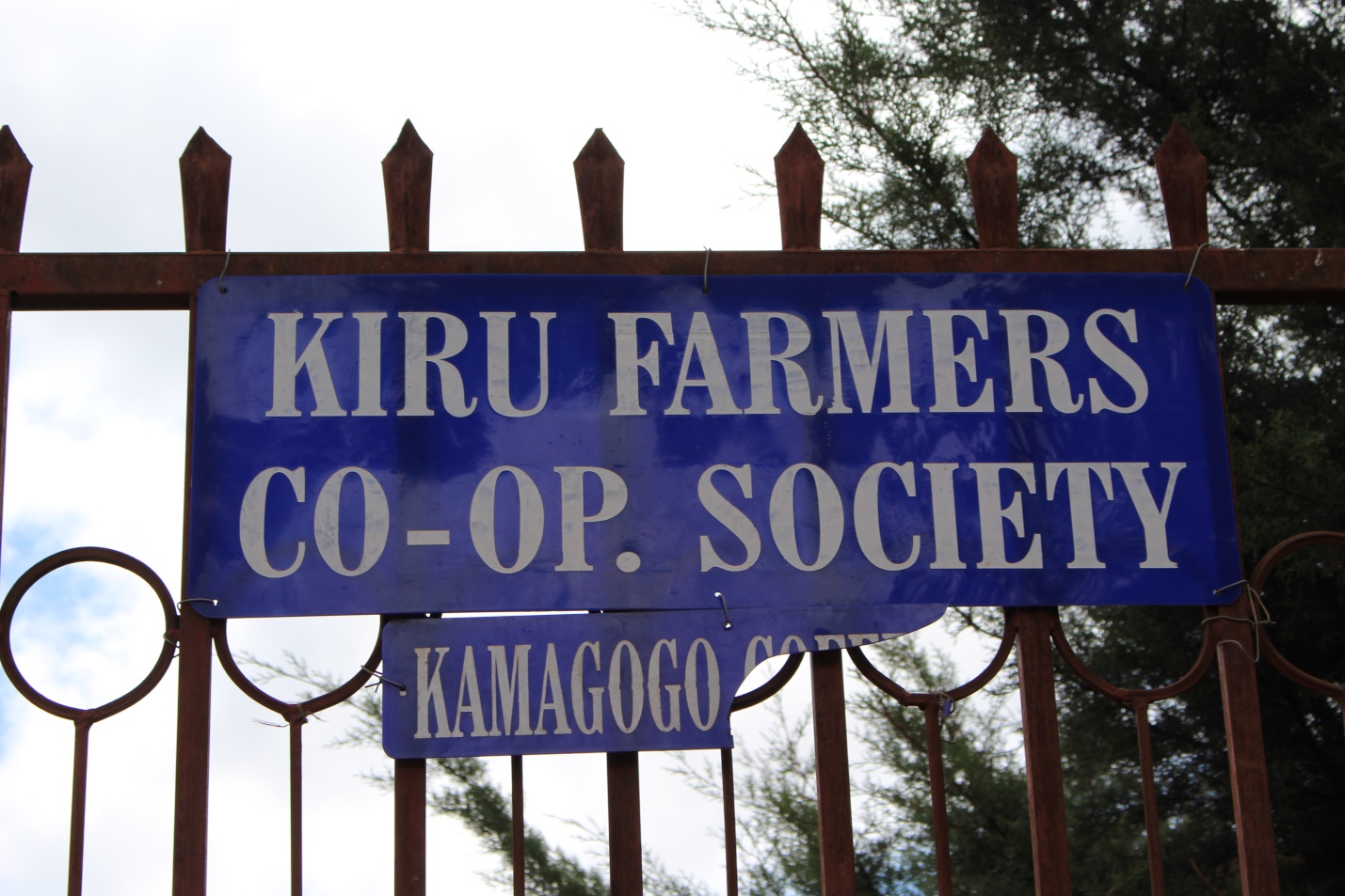 Камагого (1).jpeg