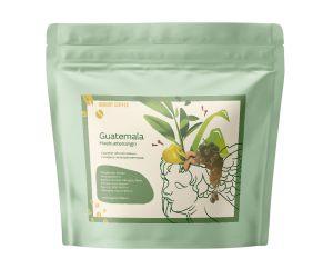 Guatemala Huehuetenango