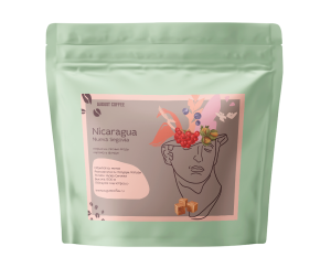 Nicaragua Nueva Segovia