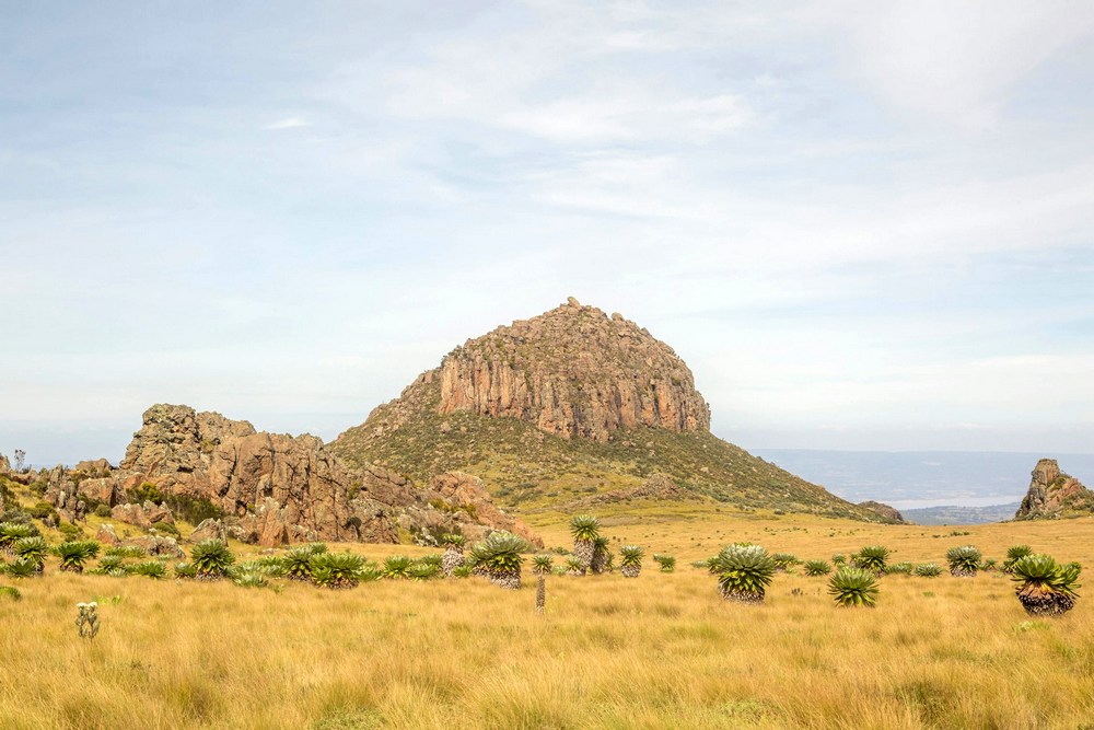 meshack-mwash-kenya-aberdare-unsplash(pics2.2).jpg