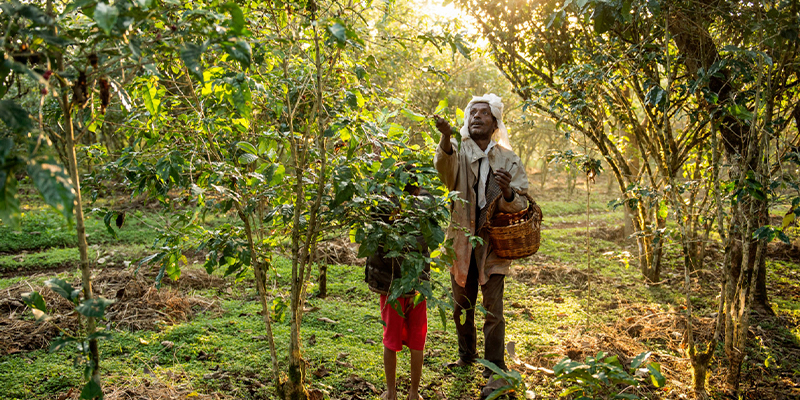 Австралия и Азия.jpg