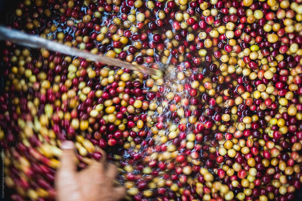 мытая обработка.jpg