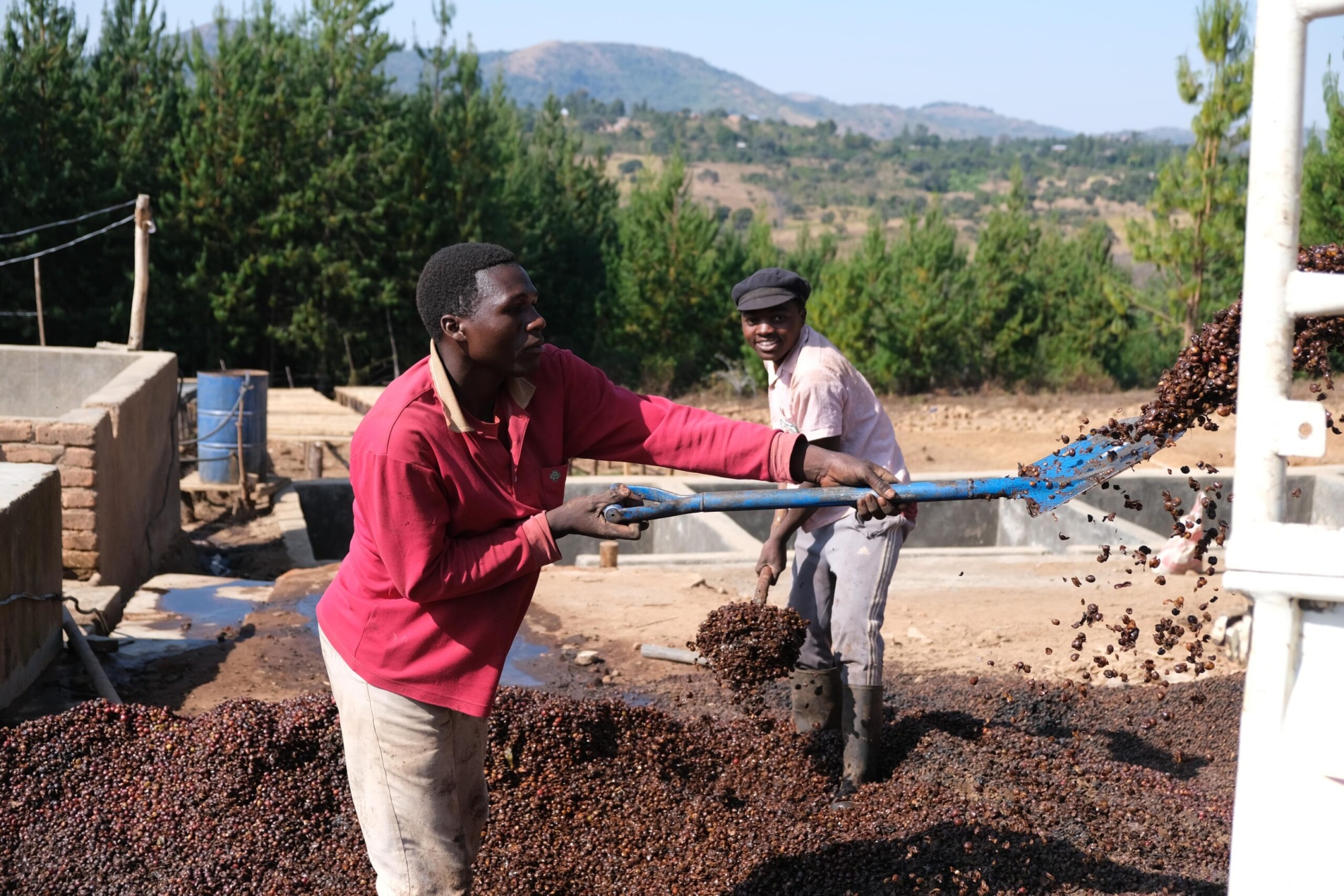 Tanzania-Iloma-shoveling-cherry-min-scaled-1.jpg