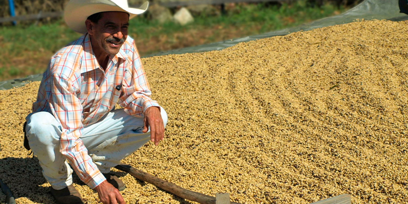 обработка кофе фермер.png обработка кофе фермер.png