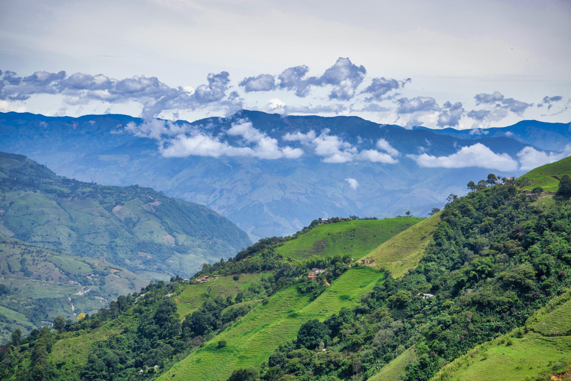 Colombia2.jpg Colombia2.jpg