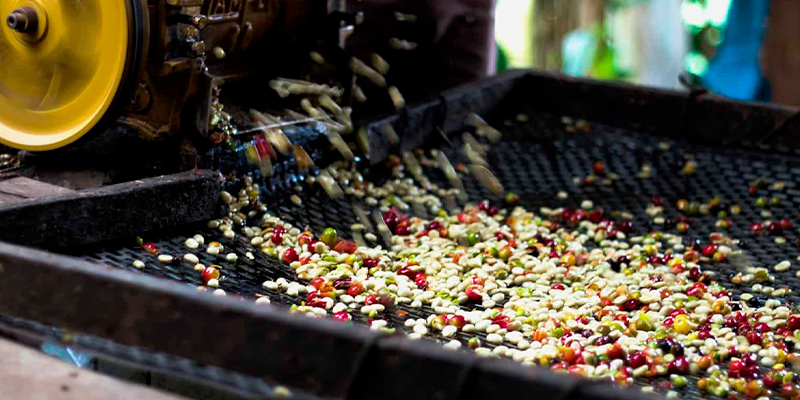 Экспериментльная обработка 1.jpg Экспериментльная обжарка 1.jpg