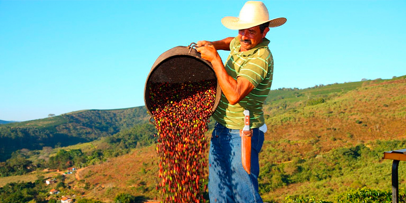 Южная Америка.jpg