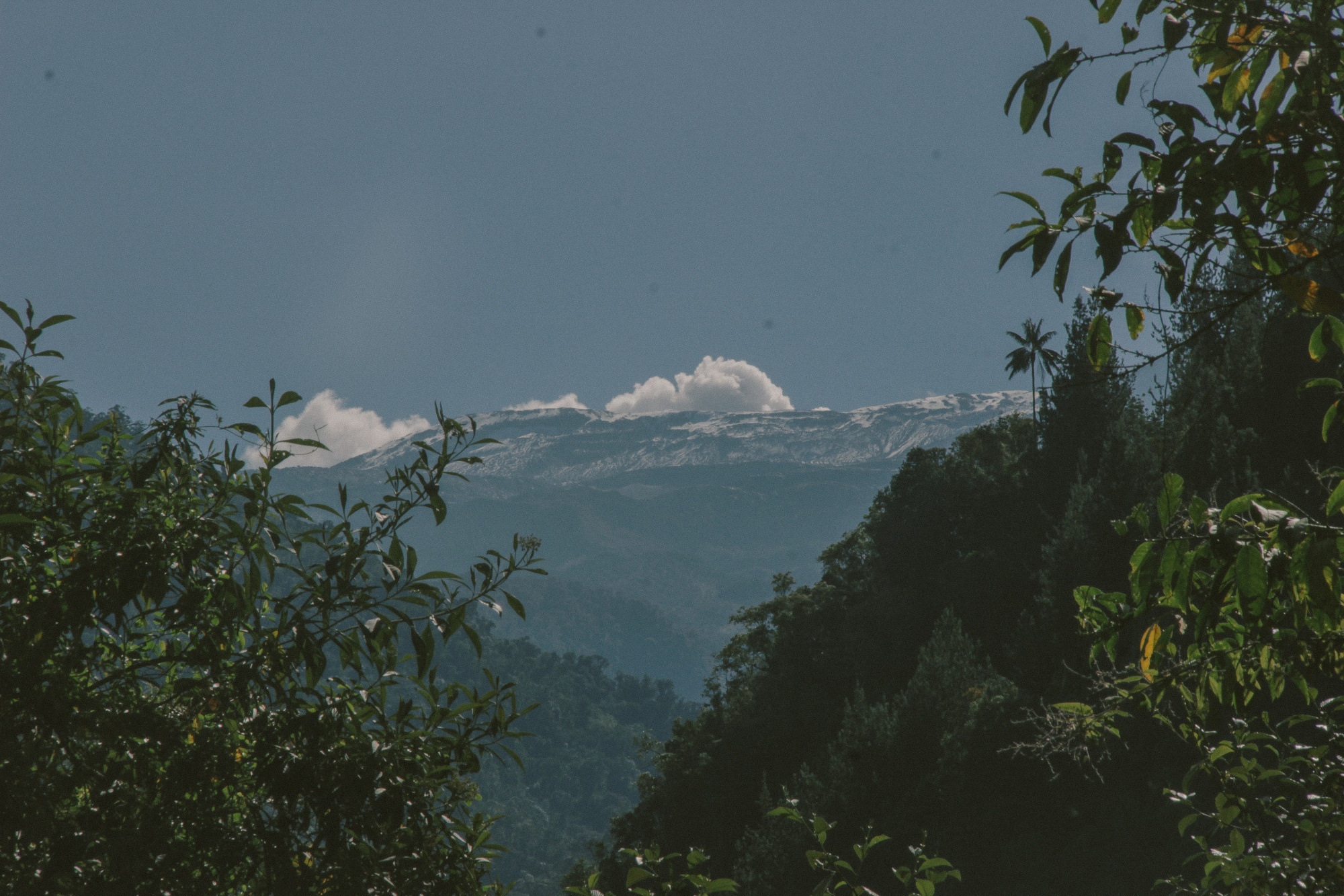 Colombia3.jpg Colombia3.jpg
